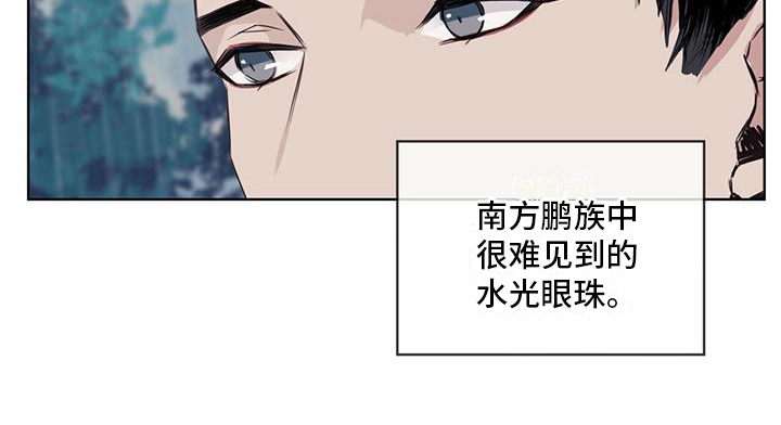 第13章：雨季将临15