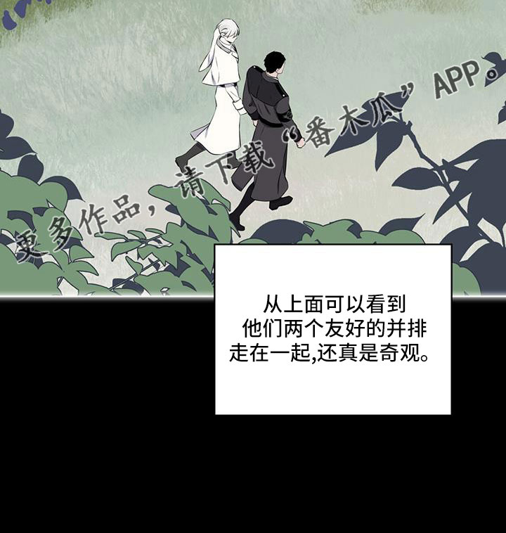第64章：奇观22