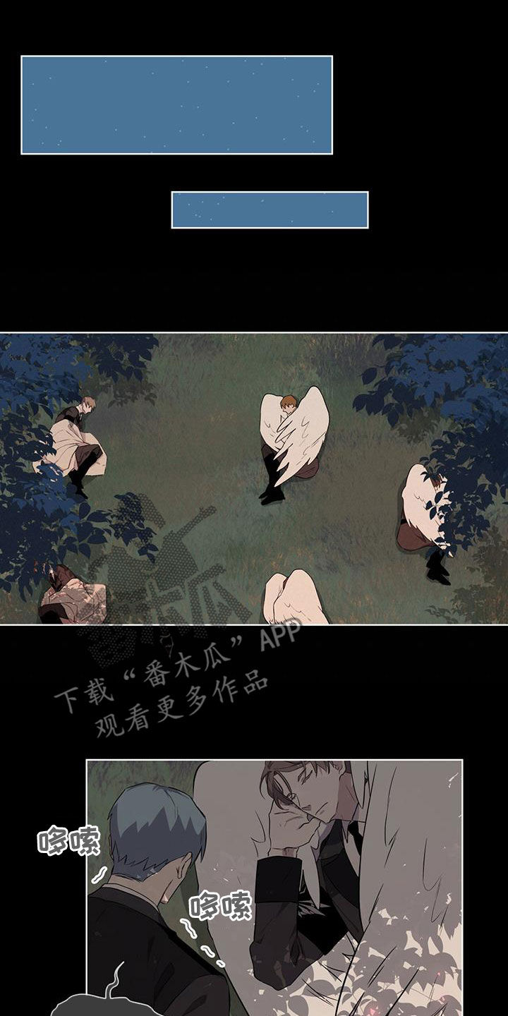 第35章：被子6