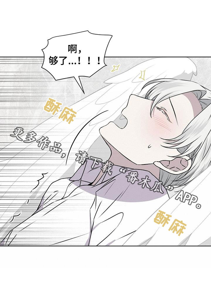 第84章：【第二季】够了20