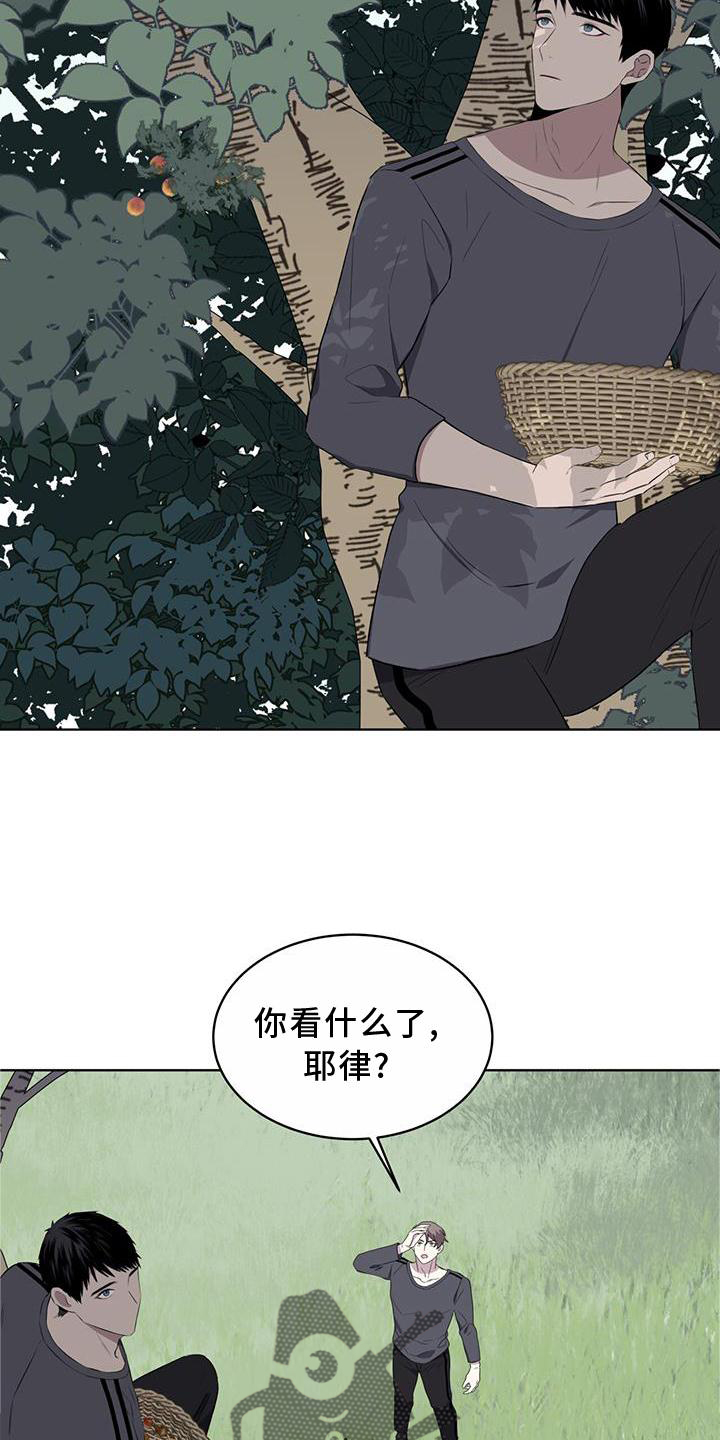 第55章：联想15