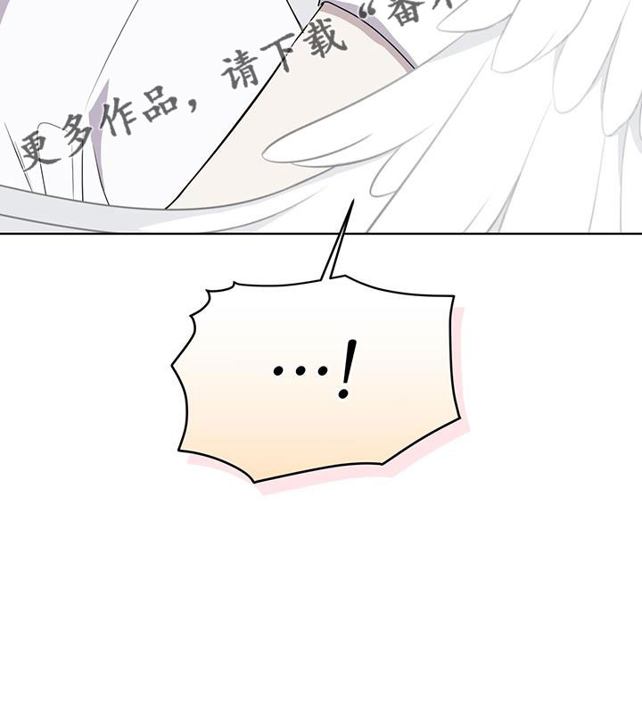第57章：不能碰羽毛25