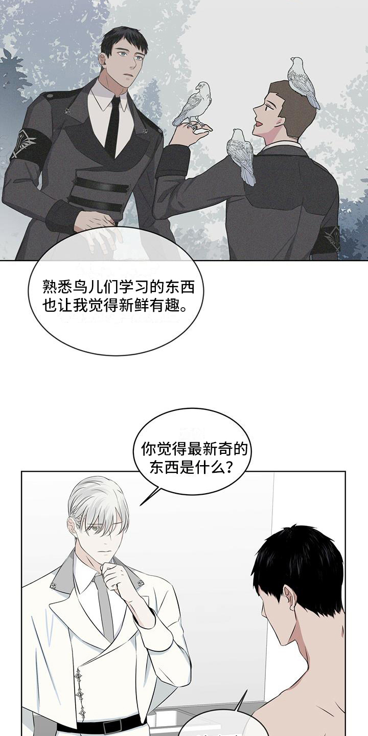 第16章：开心5