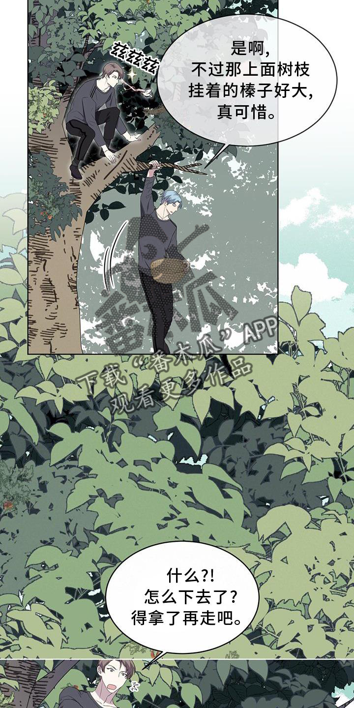 第54章：鸟蛋7