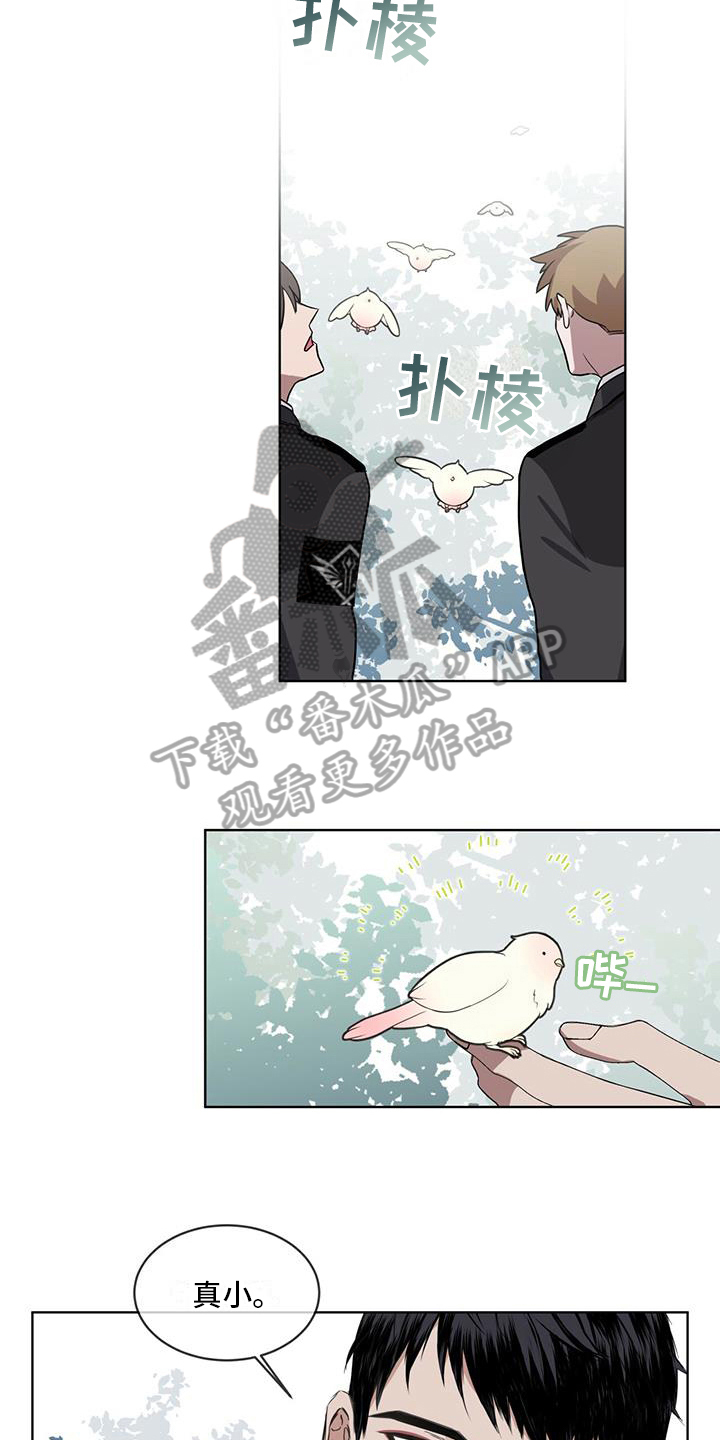 第11章：劝告6