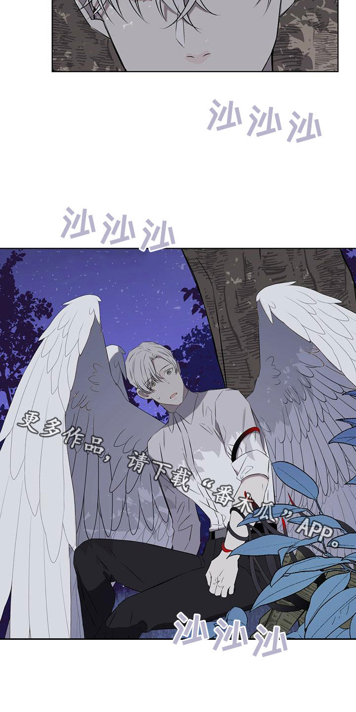 第35章：被子21