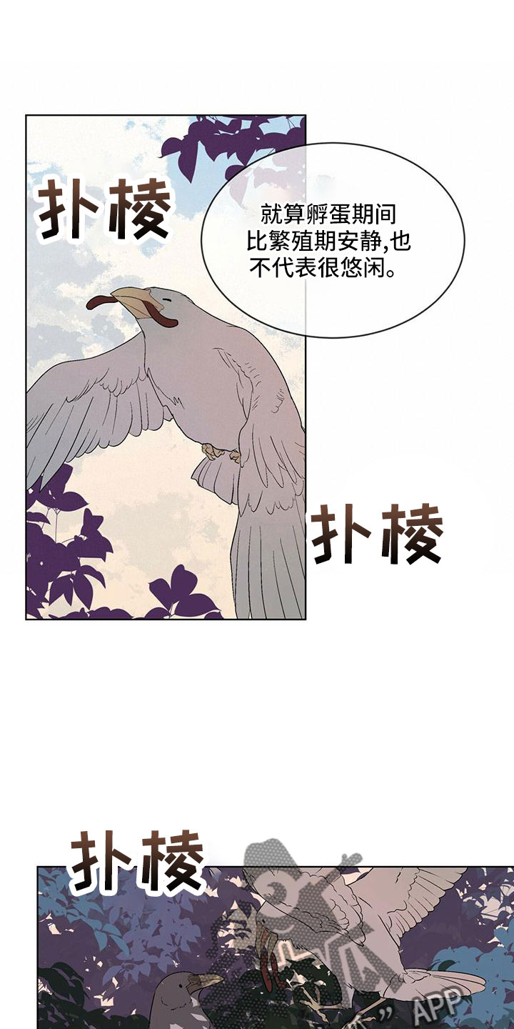 第39章：夜曲10