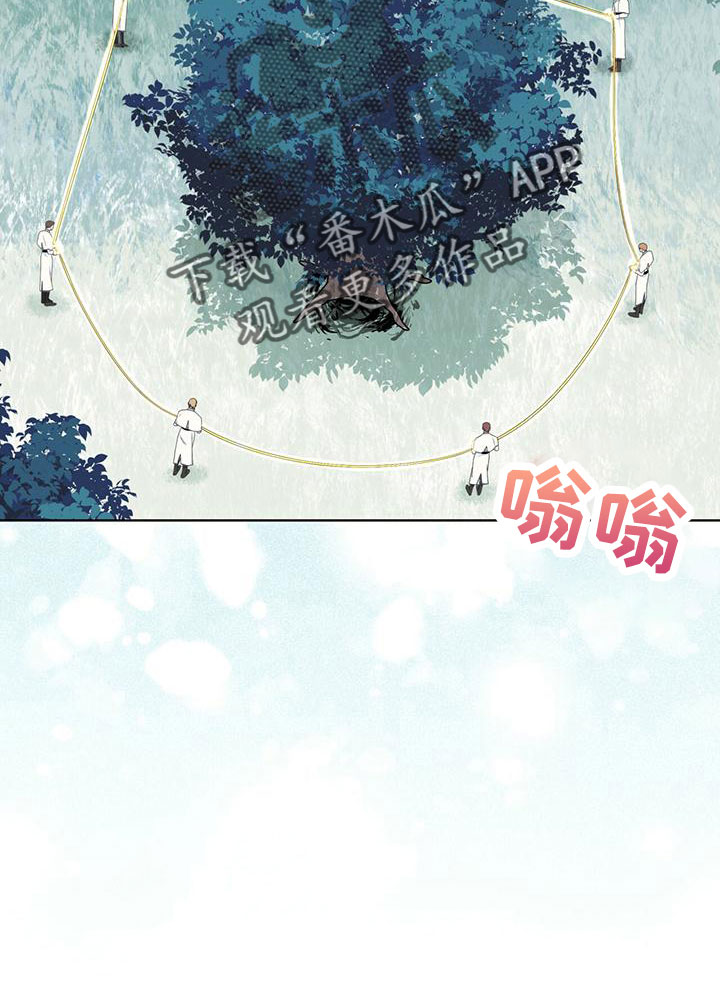 第39章：夜曲20