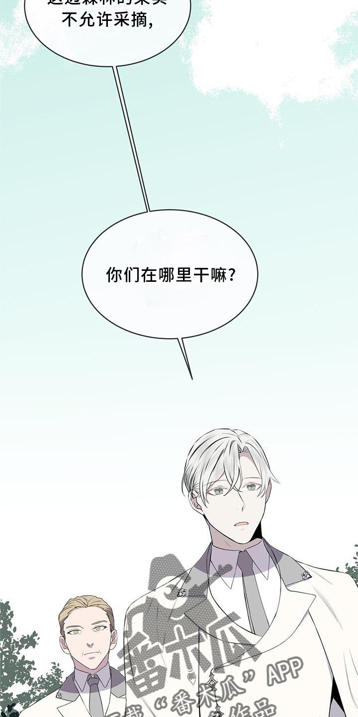 第54章：鸟蛋13