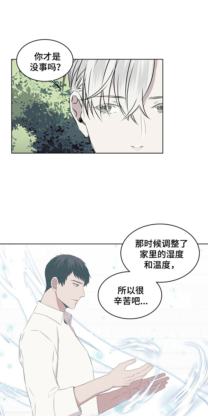 第25章：池塘17