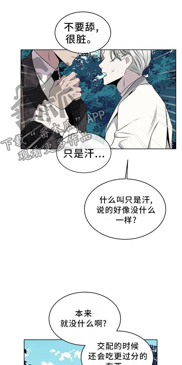 第31章：味道12