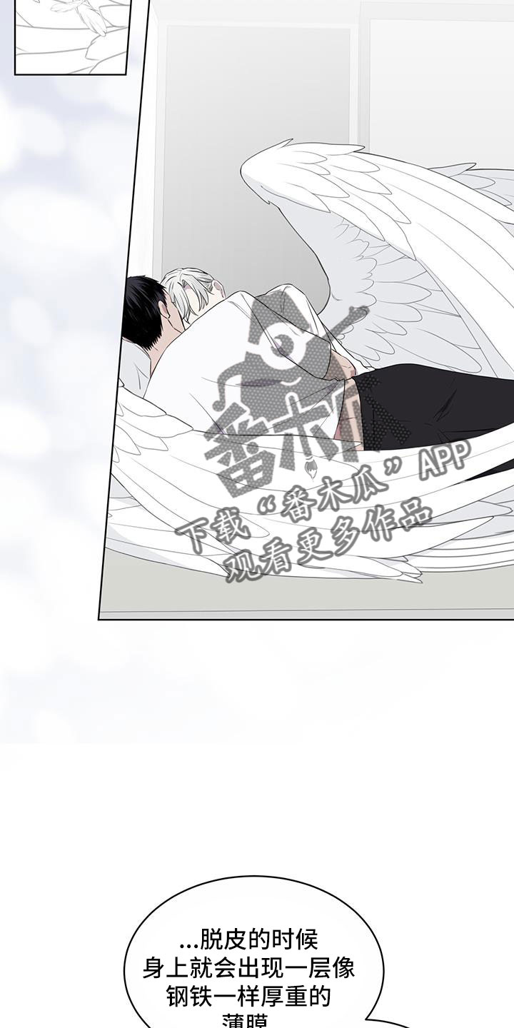 第57章：不能碰羽毛12