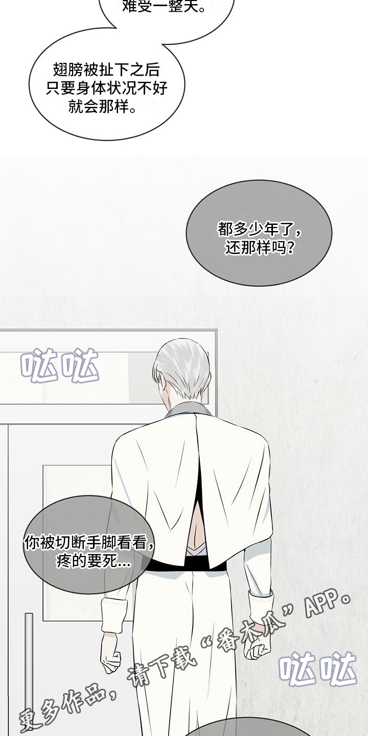 第20章：传说16