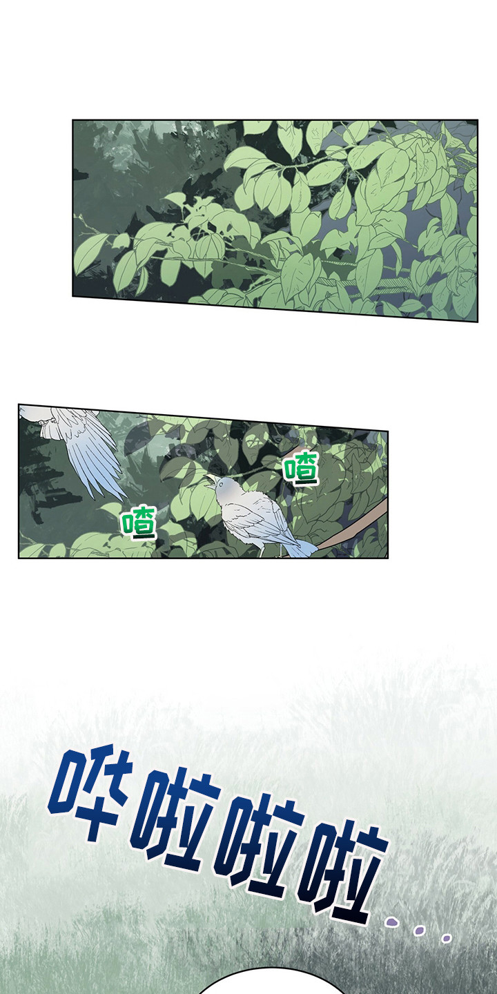 第27章：迷茫时期2