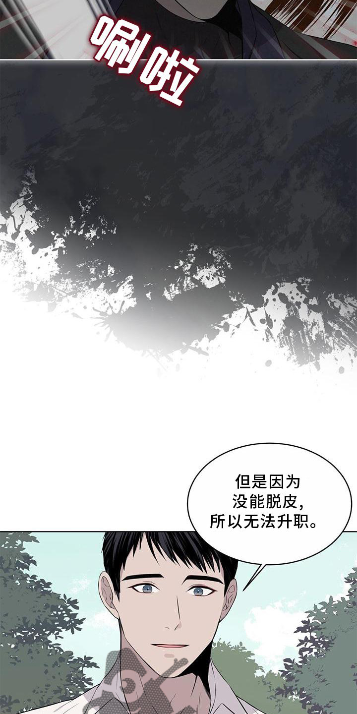 第53章：摘水果8