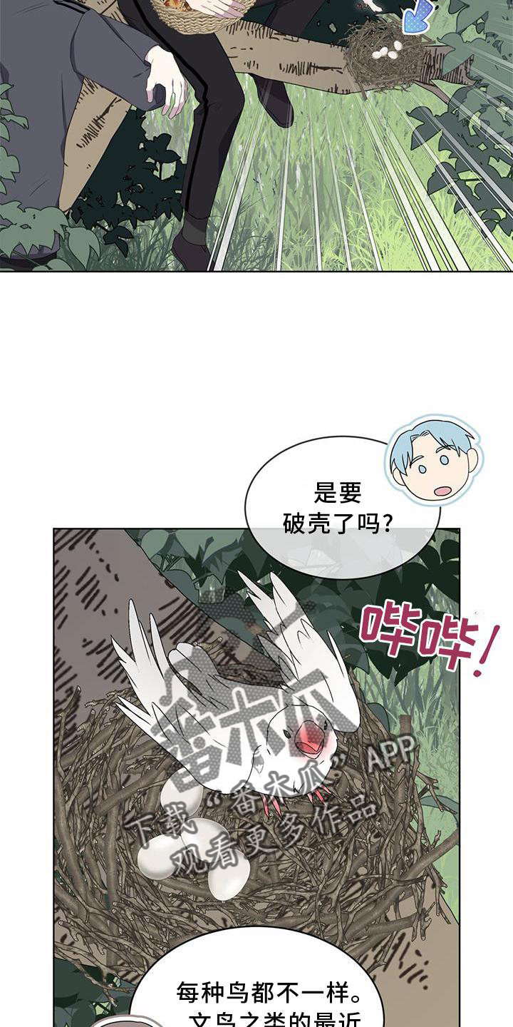 第54章：鸟蛋5