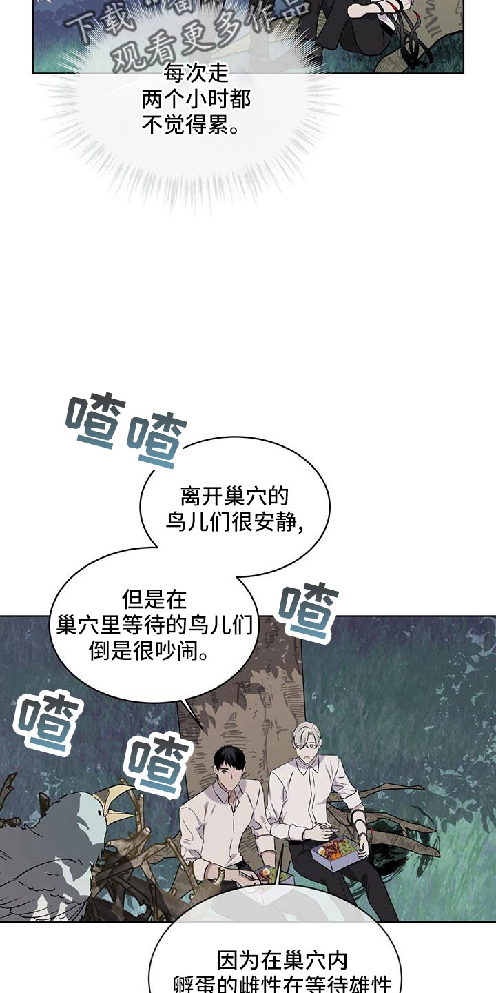 第39章：夜曲8