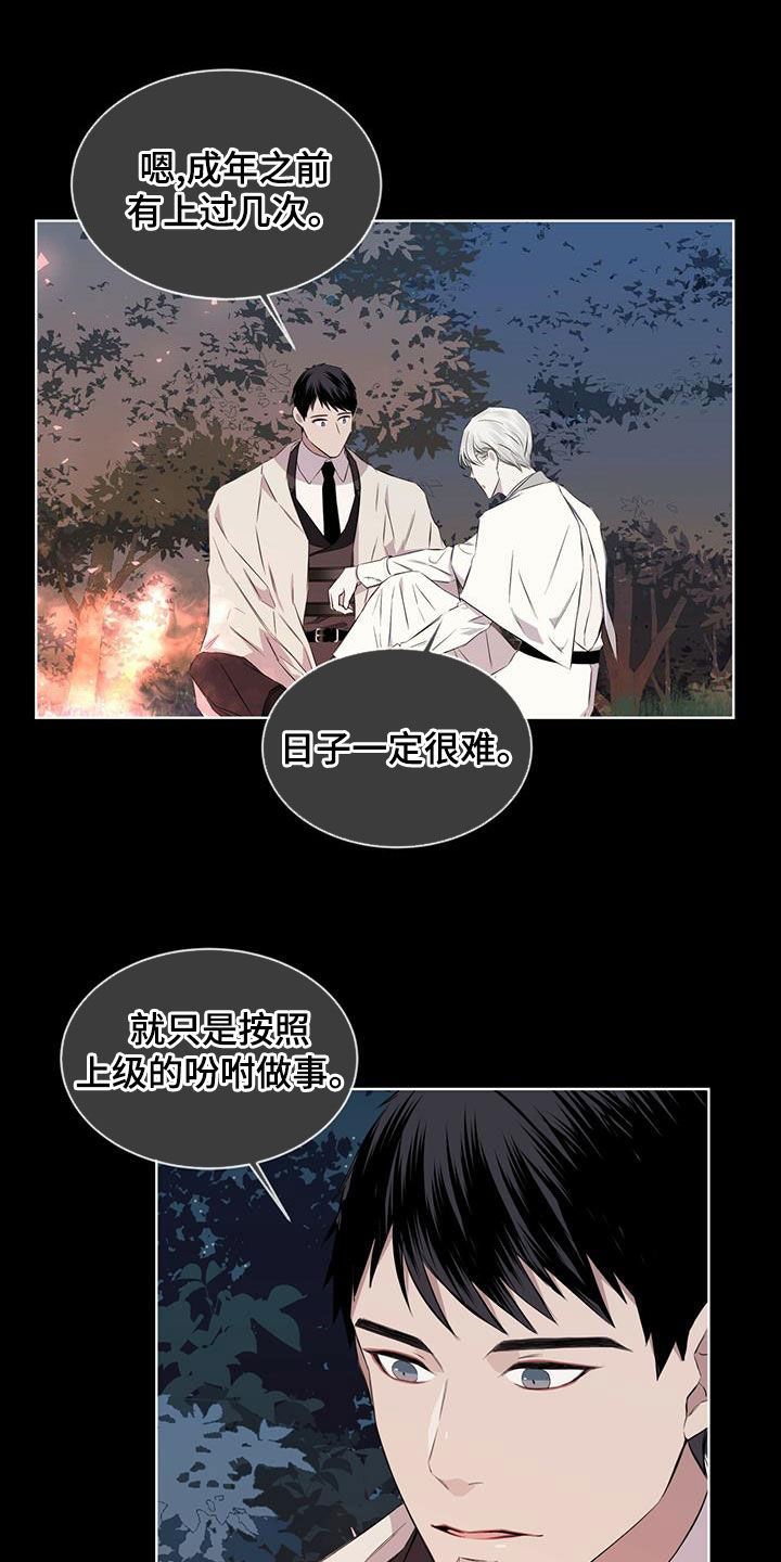 第35章：被子12