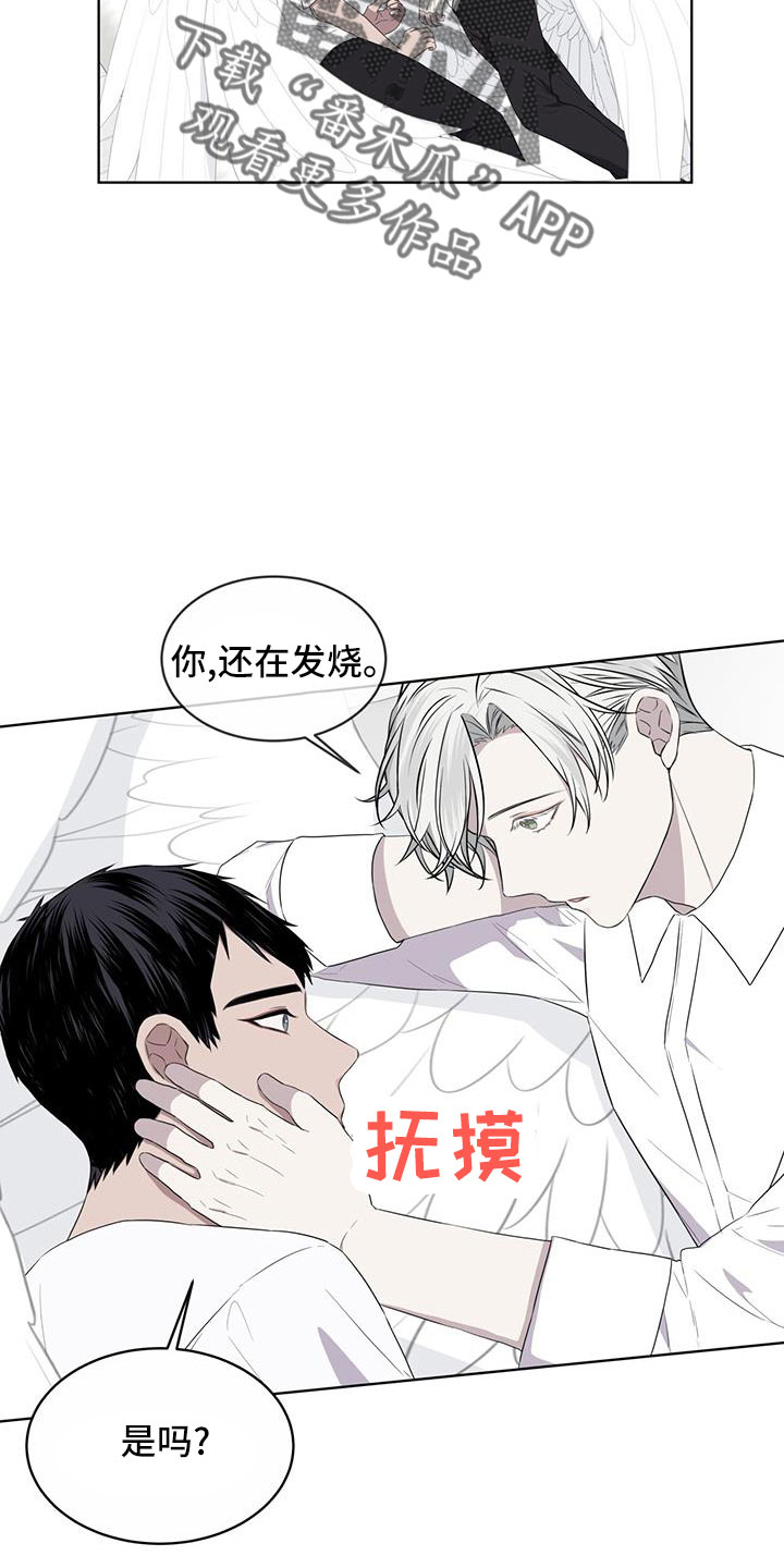 第57章：不能碰羽毛17