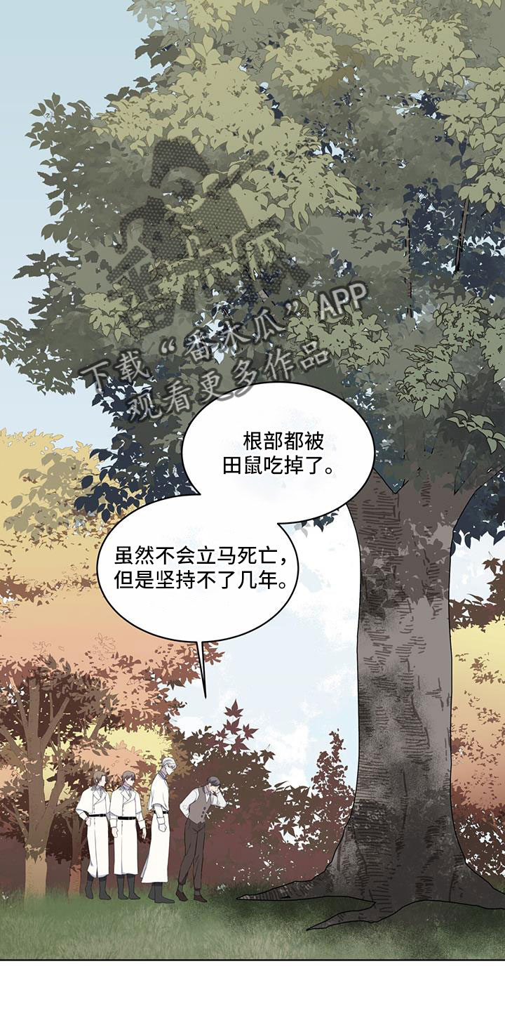 第62章： 吵架19