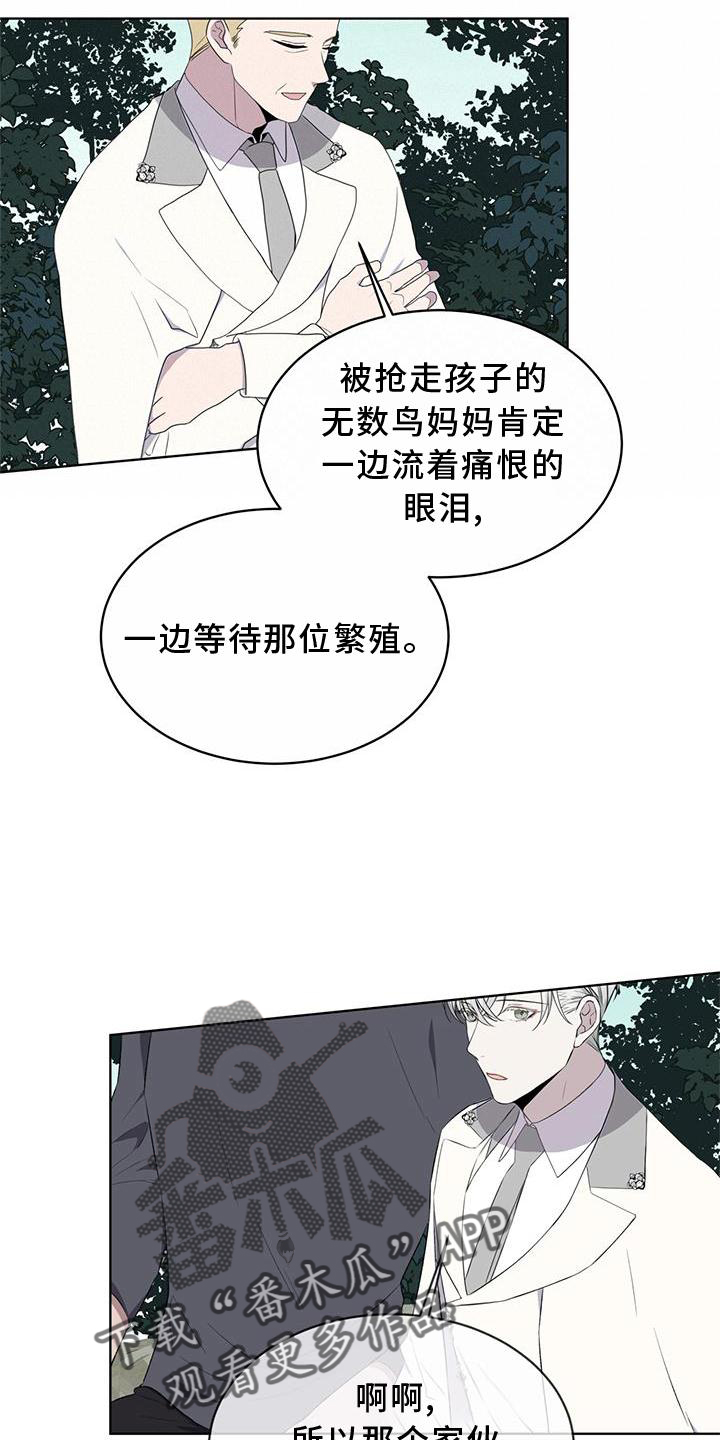 第54章：鸟蛋22