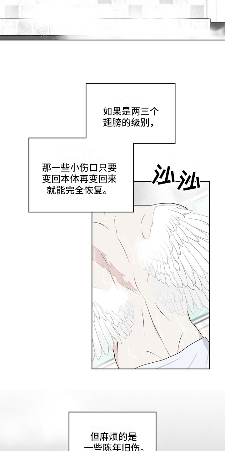 第14章：受伤5