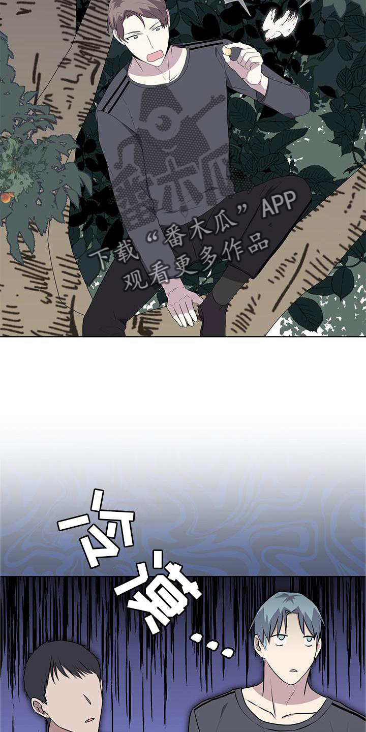 第54章：鸟蛋9