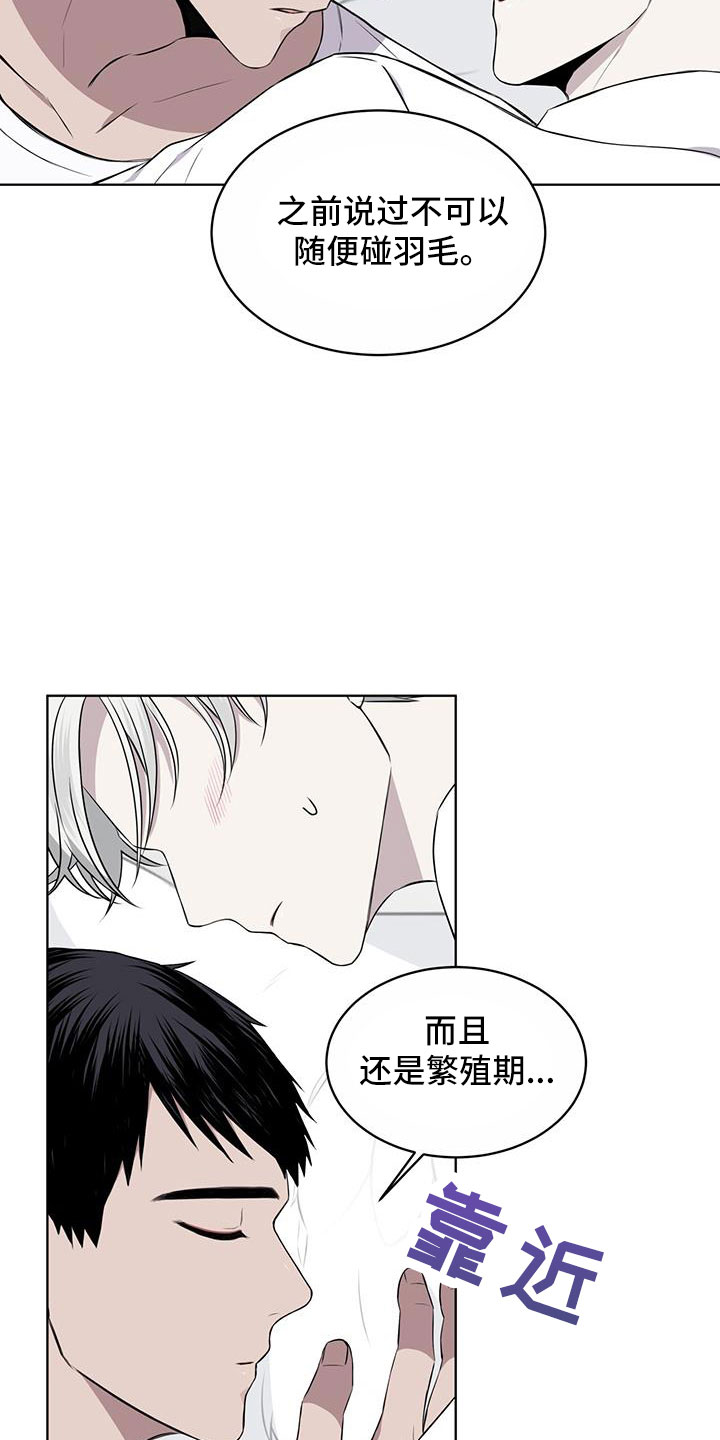 第57章：不能碰羽毛23