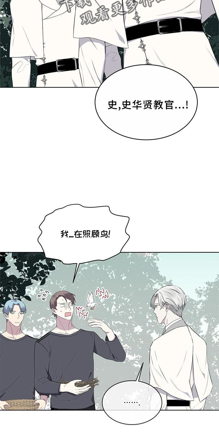 第54章：鸟蛋14