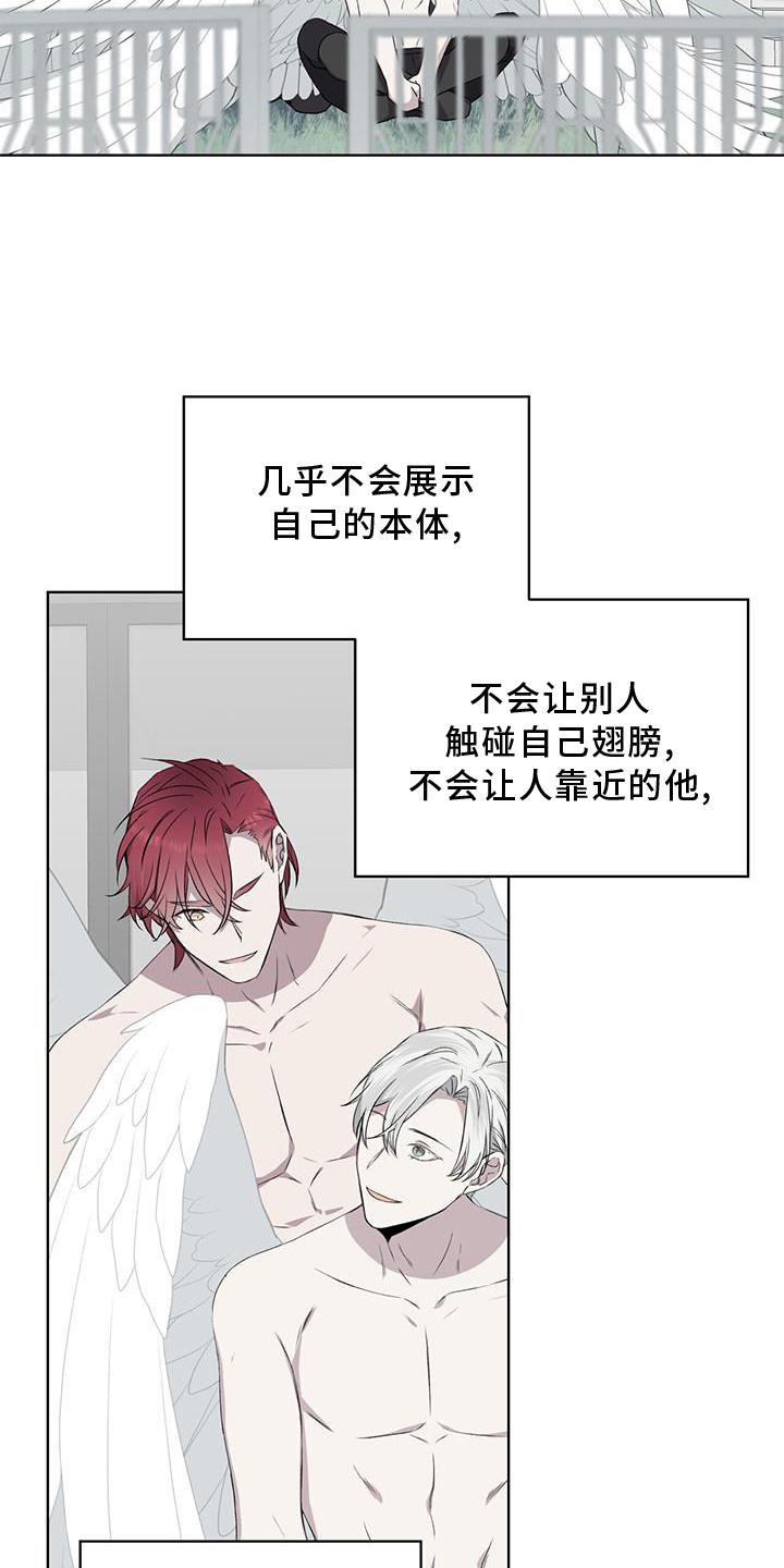 第51章：赶走16
