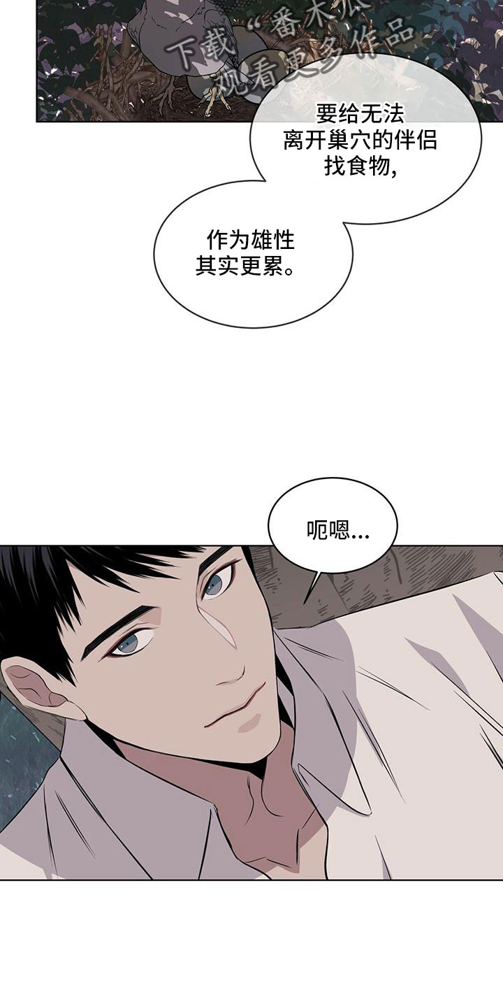 第39章：夜曲11