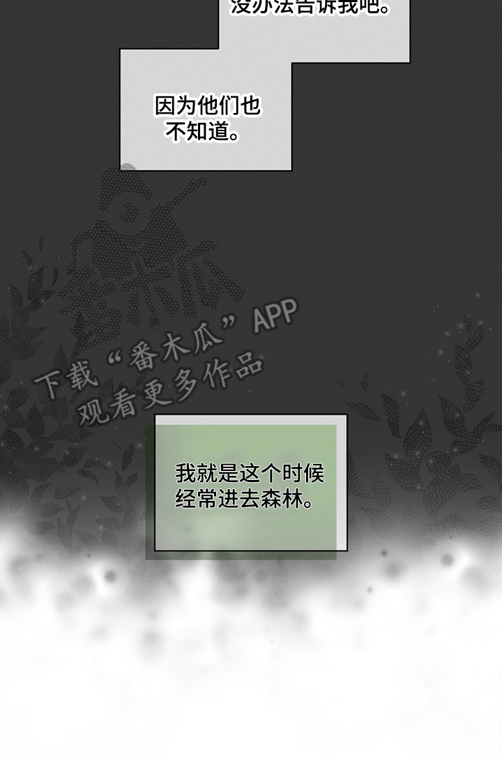 第27章：迷茫时期19