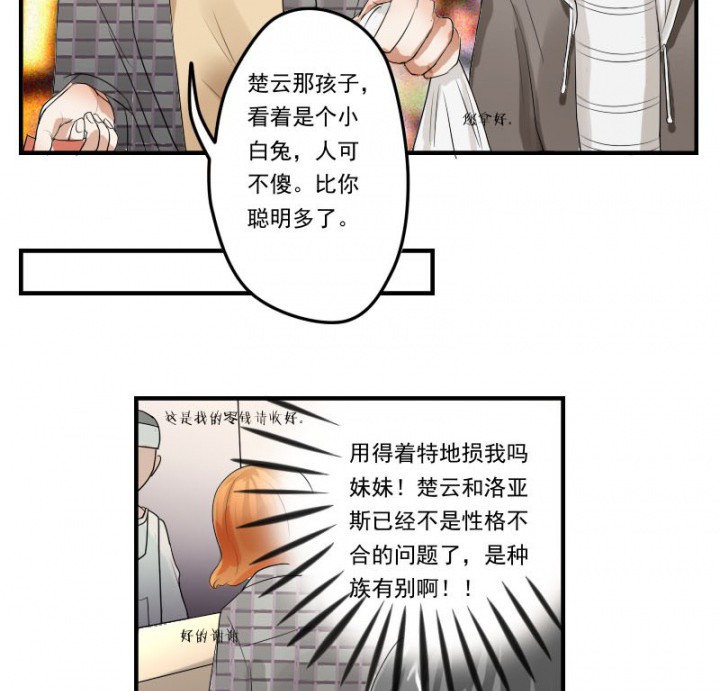 第32章：10