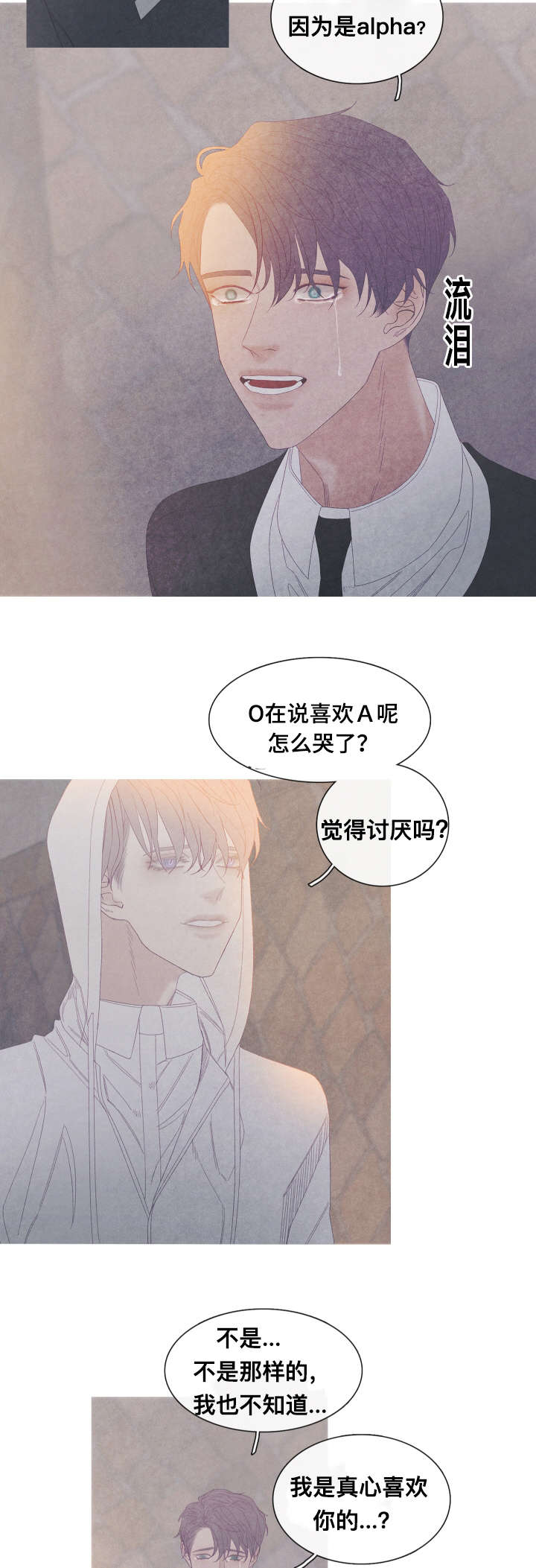 第58章：我喜欢你11