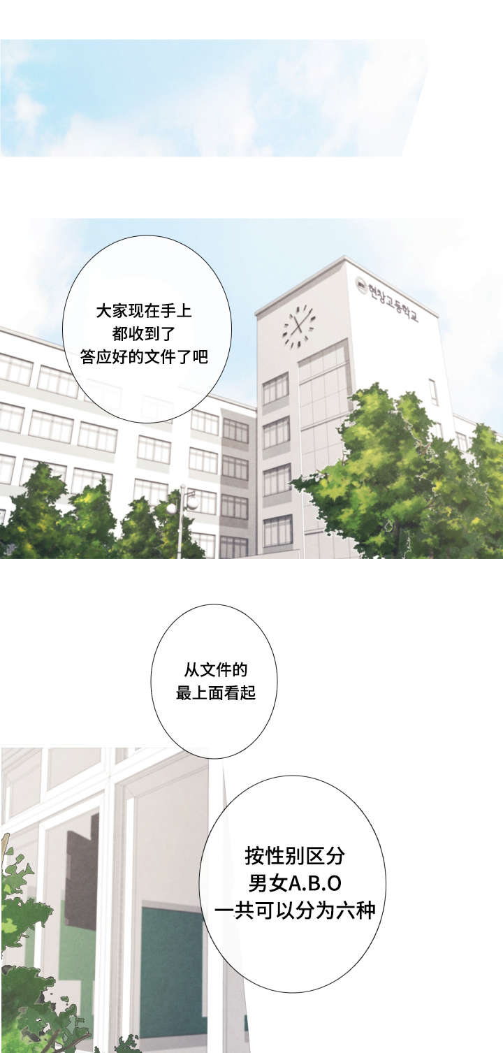 第1章：命运伴侣3