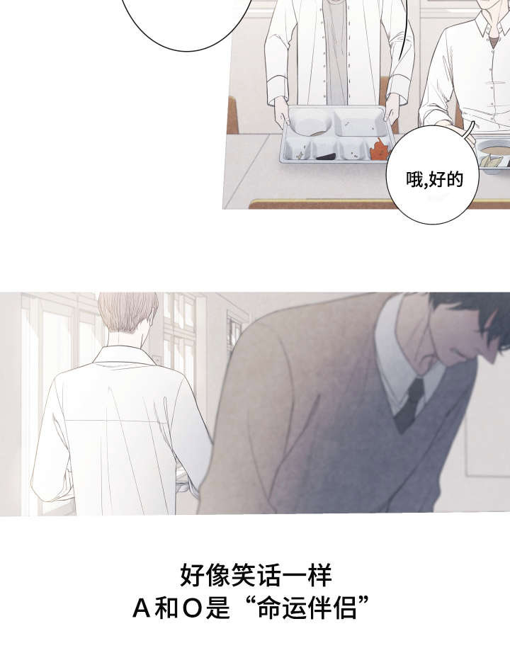 第1章：命运伴侣16