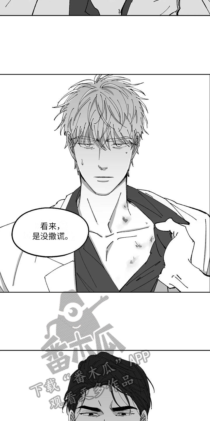 第29章：真话3