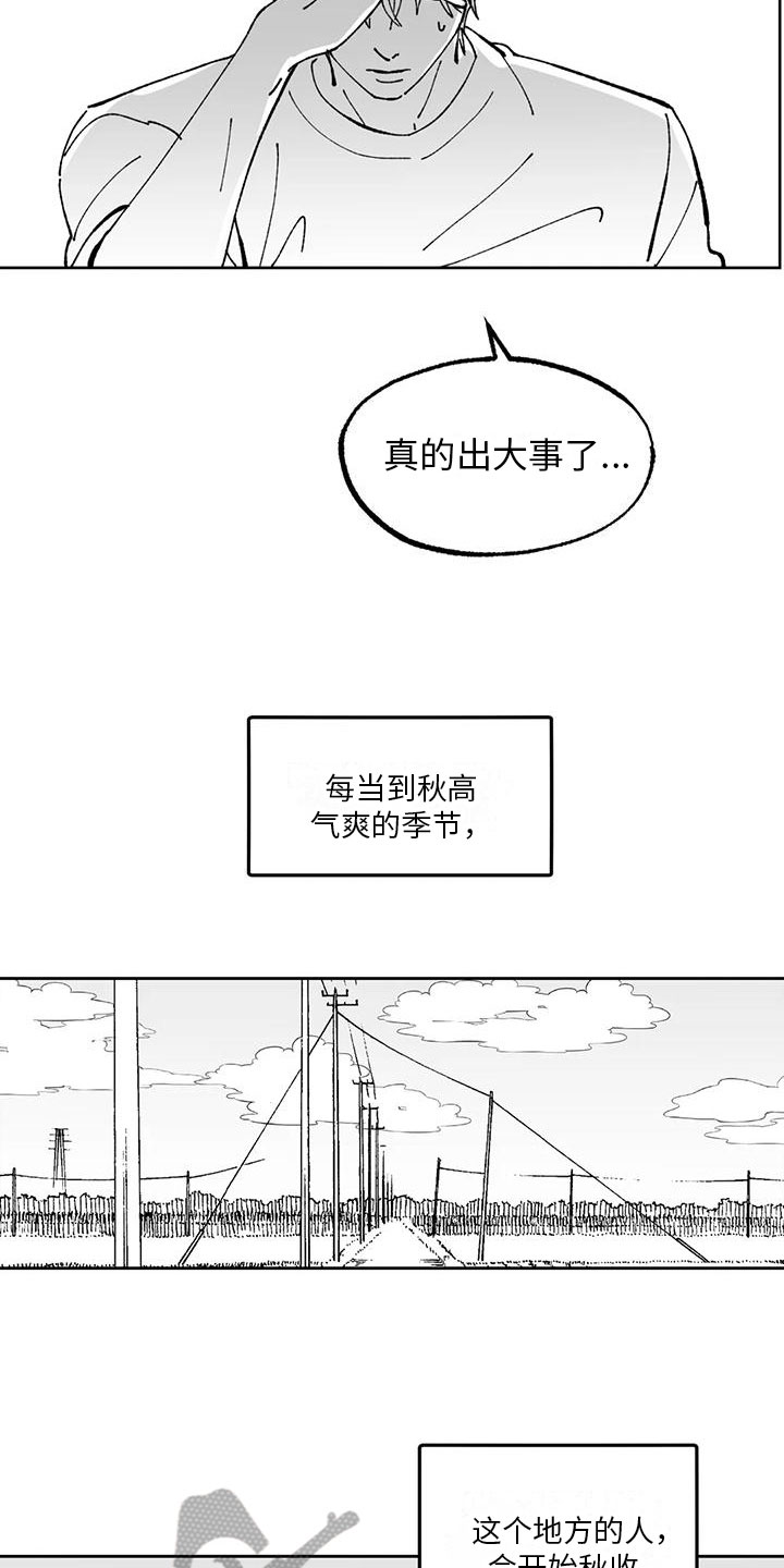 第17章：农活体验8