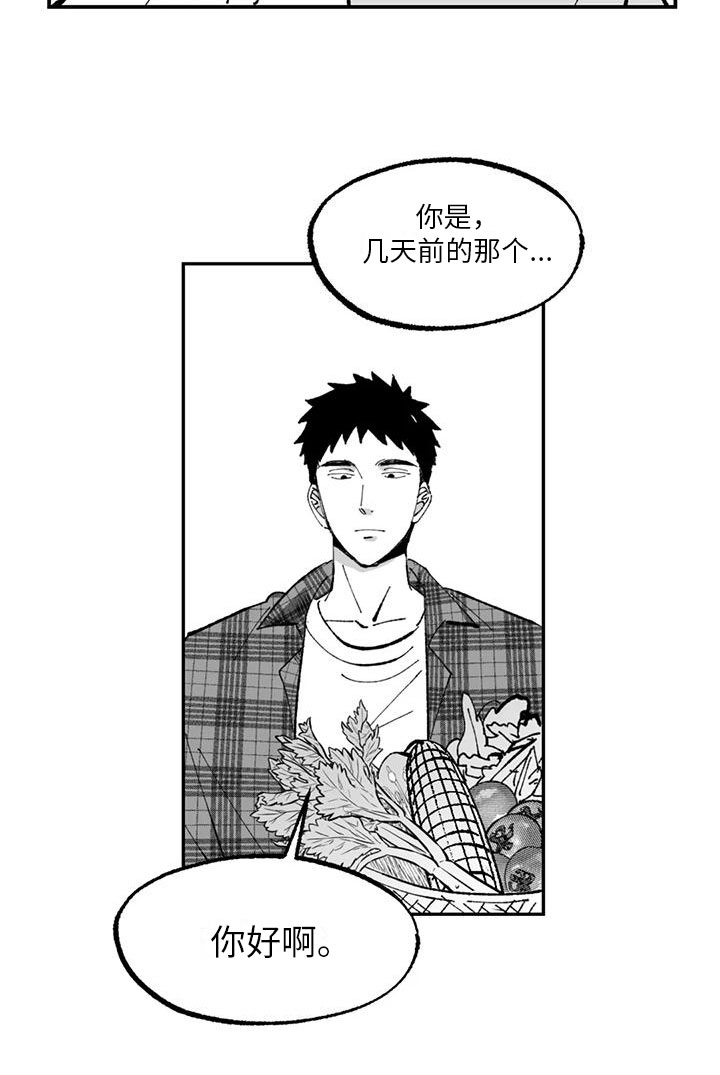 第3章：建议15