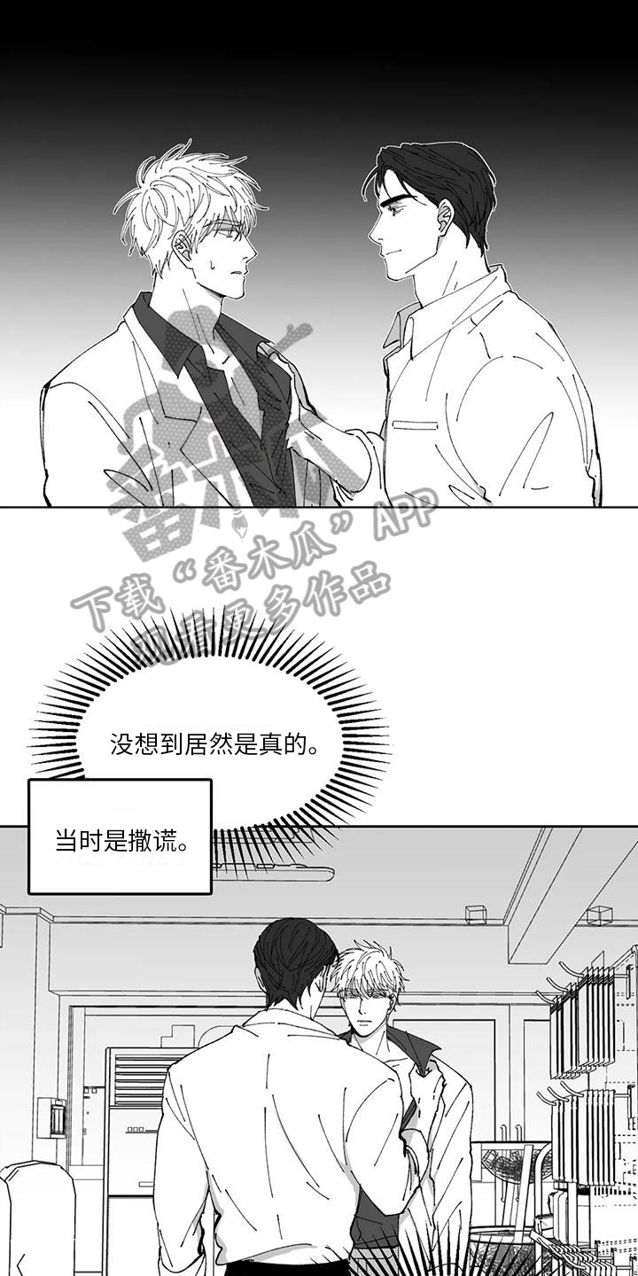 第29章：真话14
