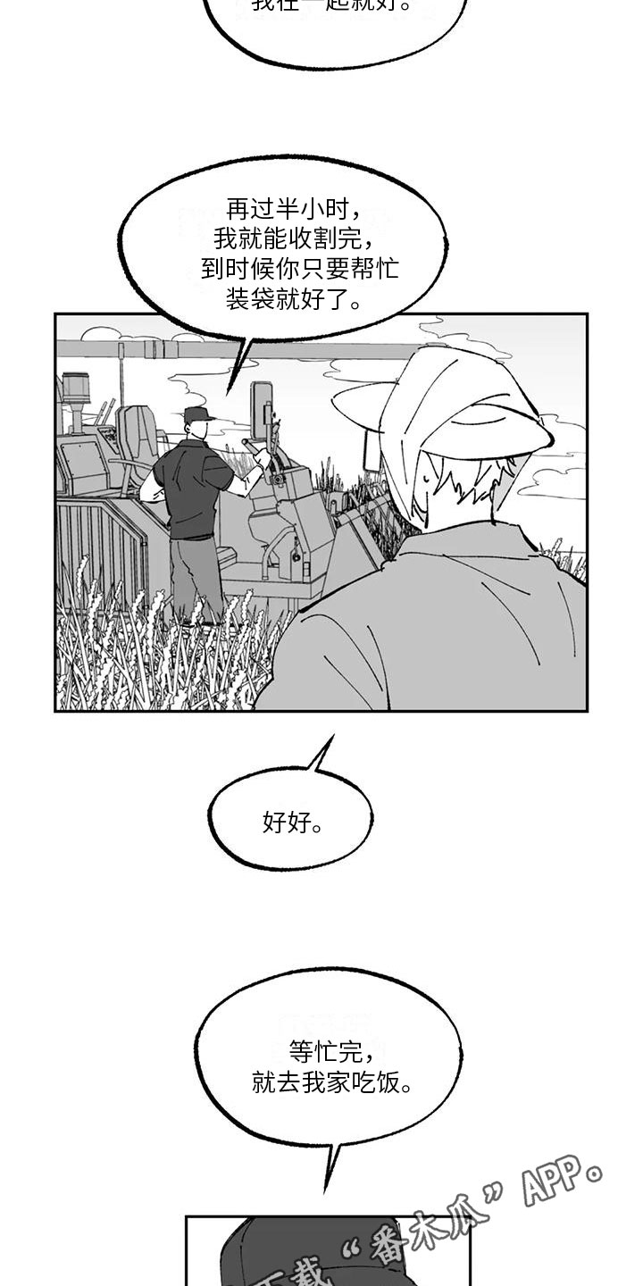 第17章：农活体验15