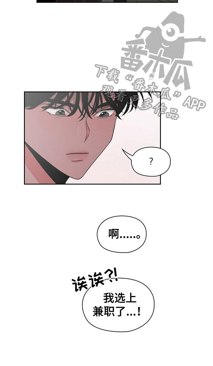 第26章：恋爱条款16