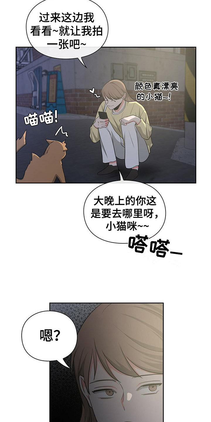 第38章： 阴魂不散11