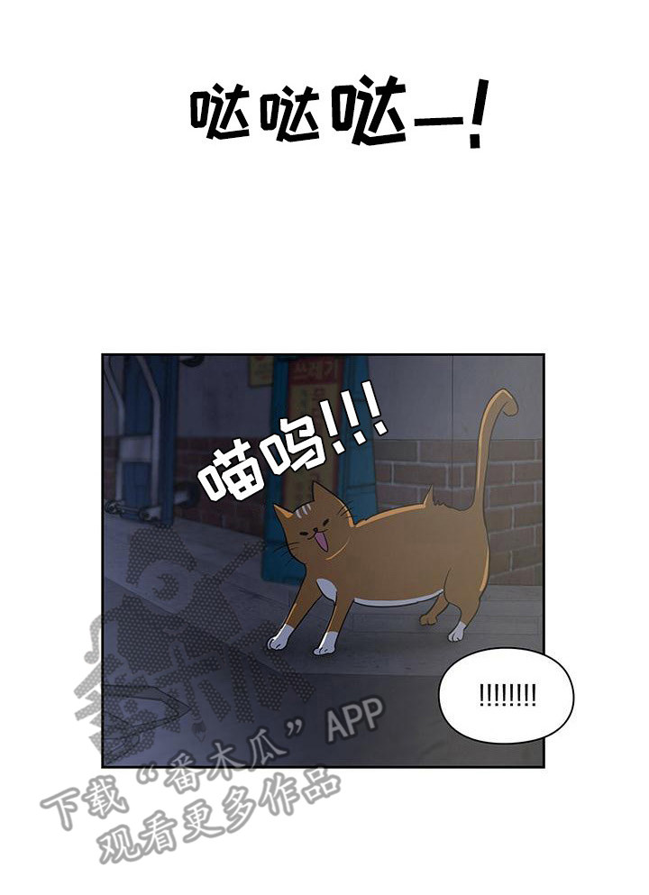 第40章：遇险7