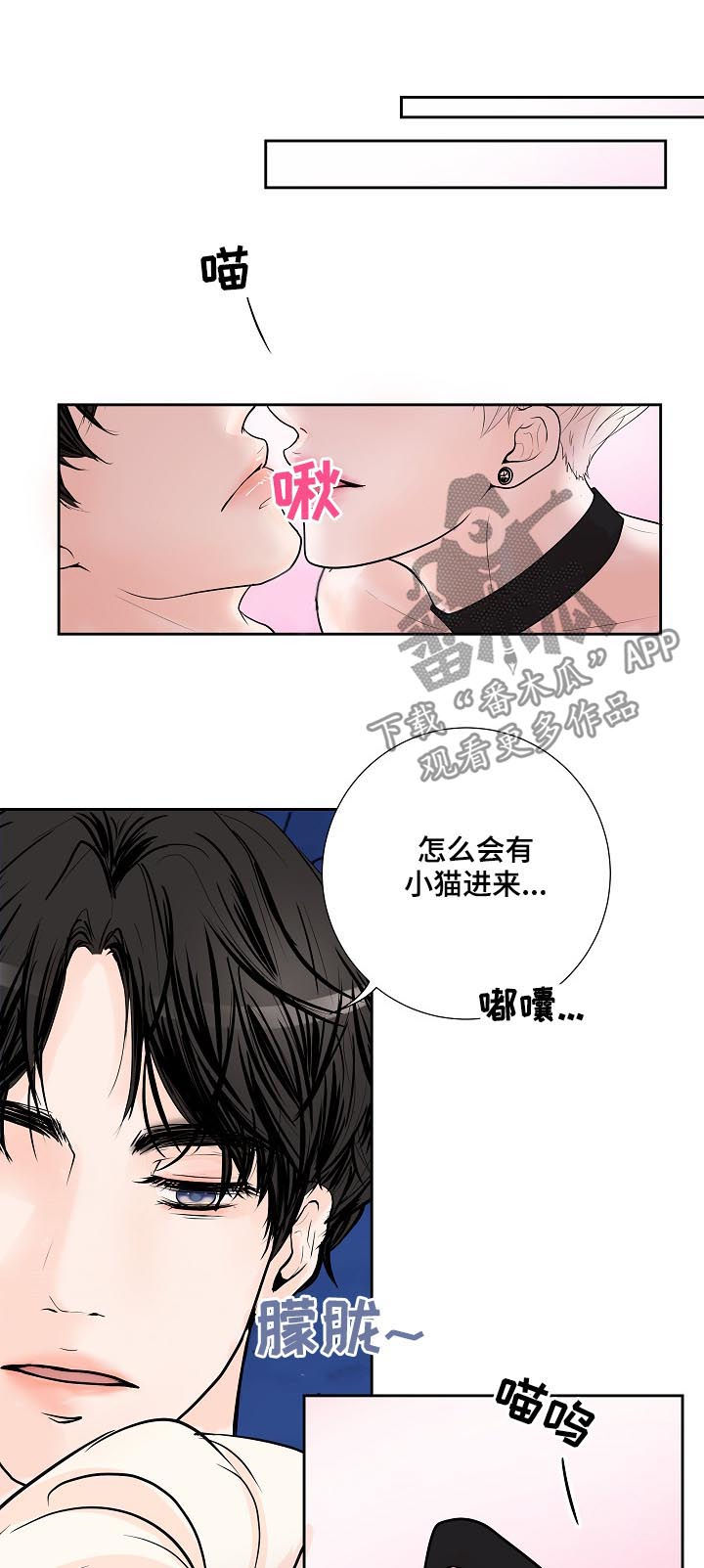 第38章：小猫12