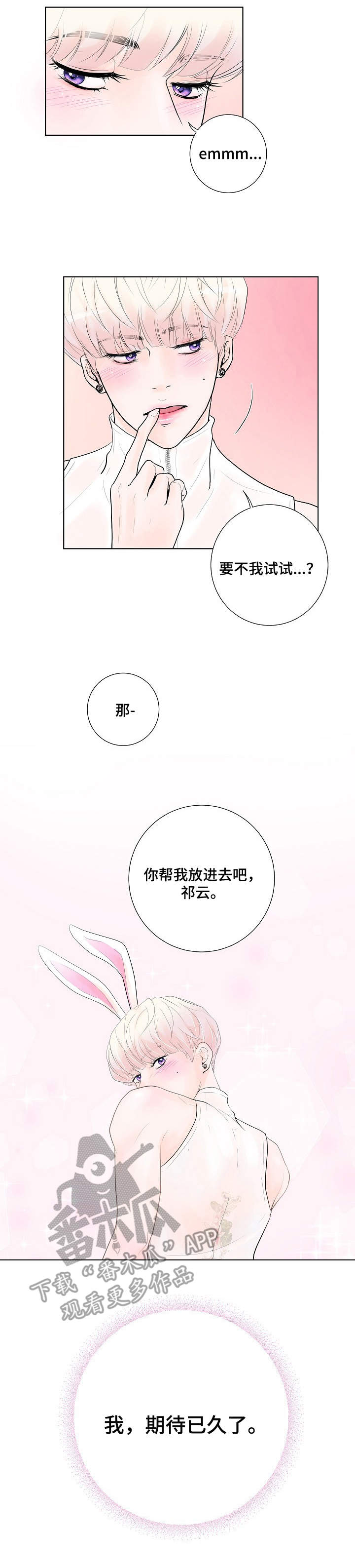第5章：兔子6