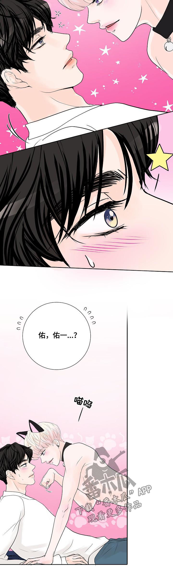 第38章：小猫14