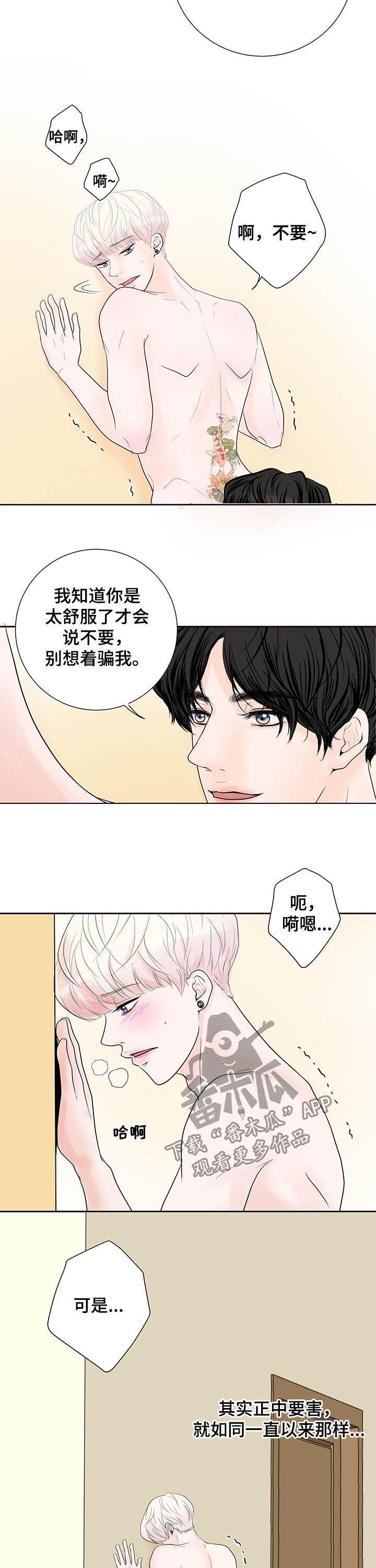 第61章：【番外】蜜月旅行3