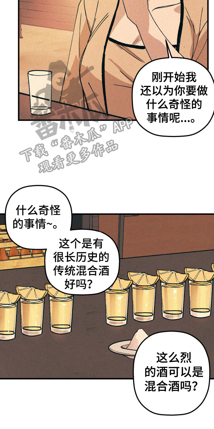 第21章：混合酒1