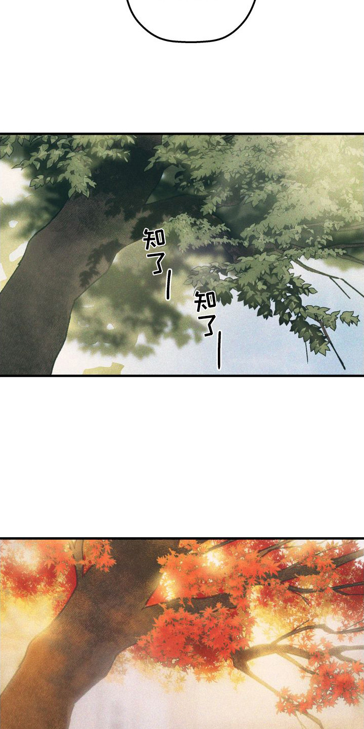第23章：生病了5